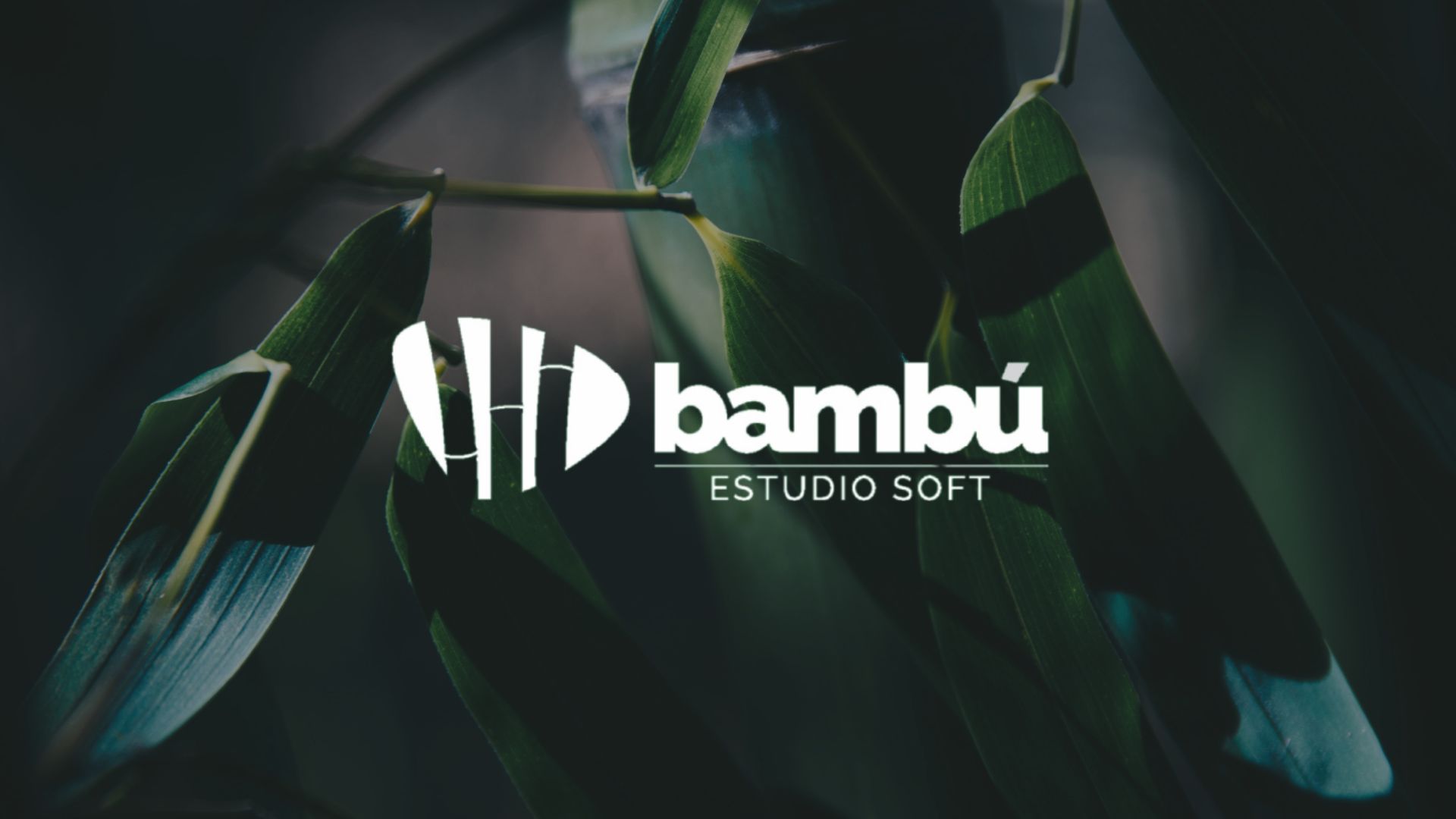 (c) Bambuestudio.com.ar